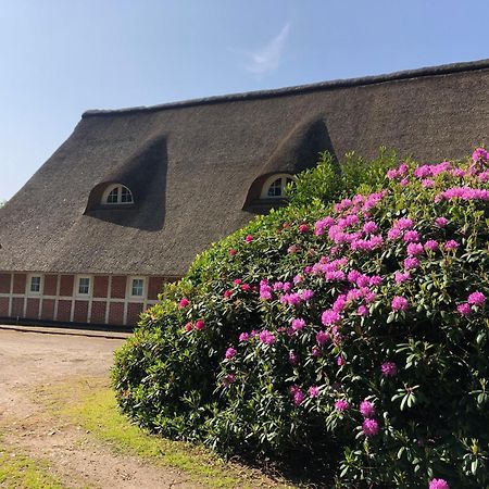 Ferienwohnungen Unter Den Eichen Stade Dış mekan fotoğraf